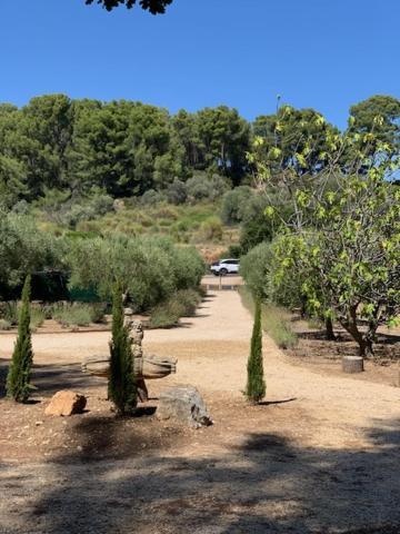 Le Petit Chene Villa Le Castellet  Eksteriør bilde